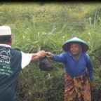 Video kegiatan Ihsan Ramadhan 2017-Alimtaq International & Services